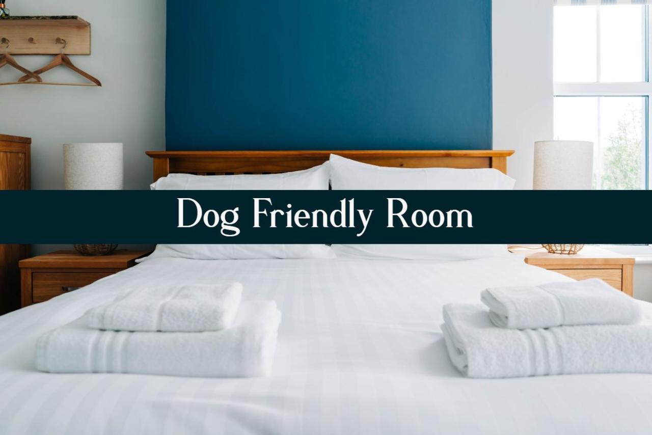 Bryn Berwyn Country House Tresaith Penbryn Chambre photo
